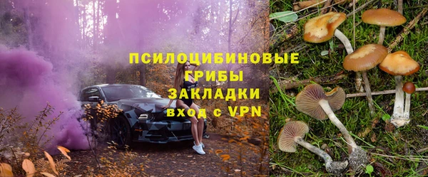 дживик Горняк