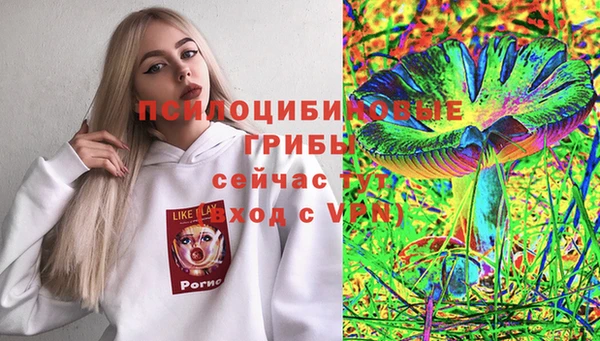 каннабис Гусиноозёрск