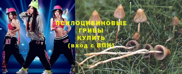 а пвп мука Гусев