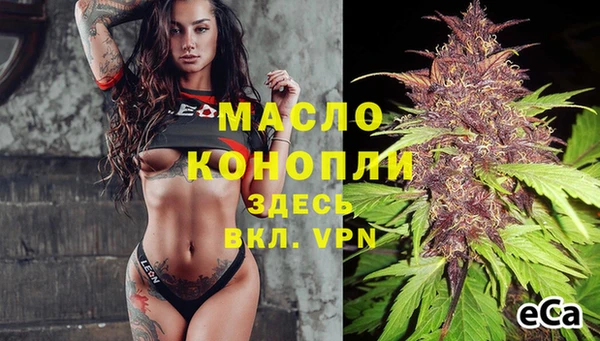 мяу мяу мука Гусь-Хрустальный