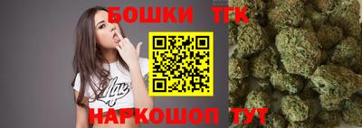 сатива Беслан
