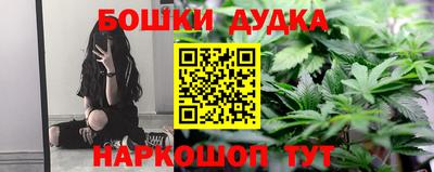 сатива Беслан