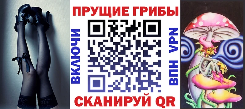 как найти закладки  Дмитров  Псилоцибиновые грибы MAGIC MUSHROOMS 
