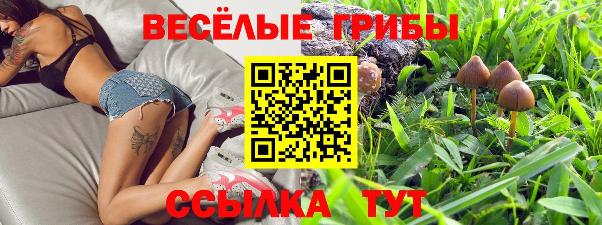 дарнет шоп  Вход с VPN  Дмитров  Галлюциногенные грибы Cubensis  Псилоцибиновые грибы ЛСД 